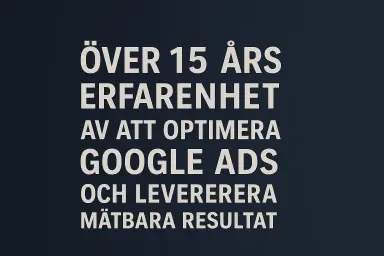 Google Ads konsult